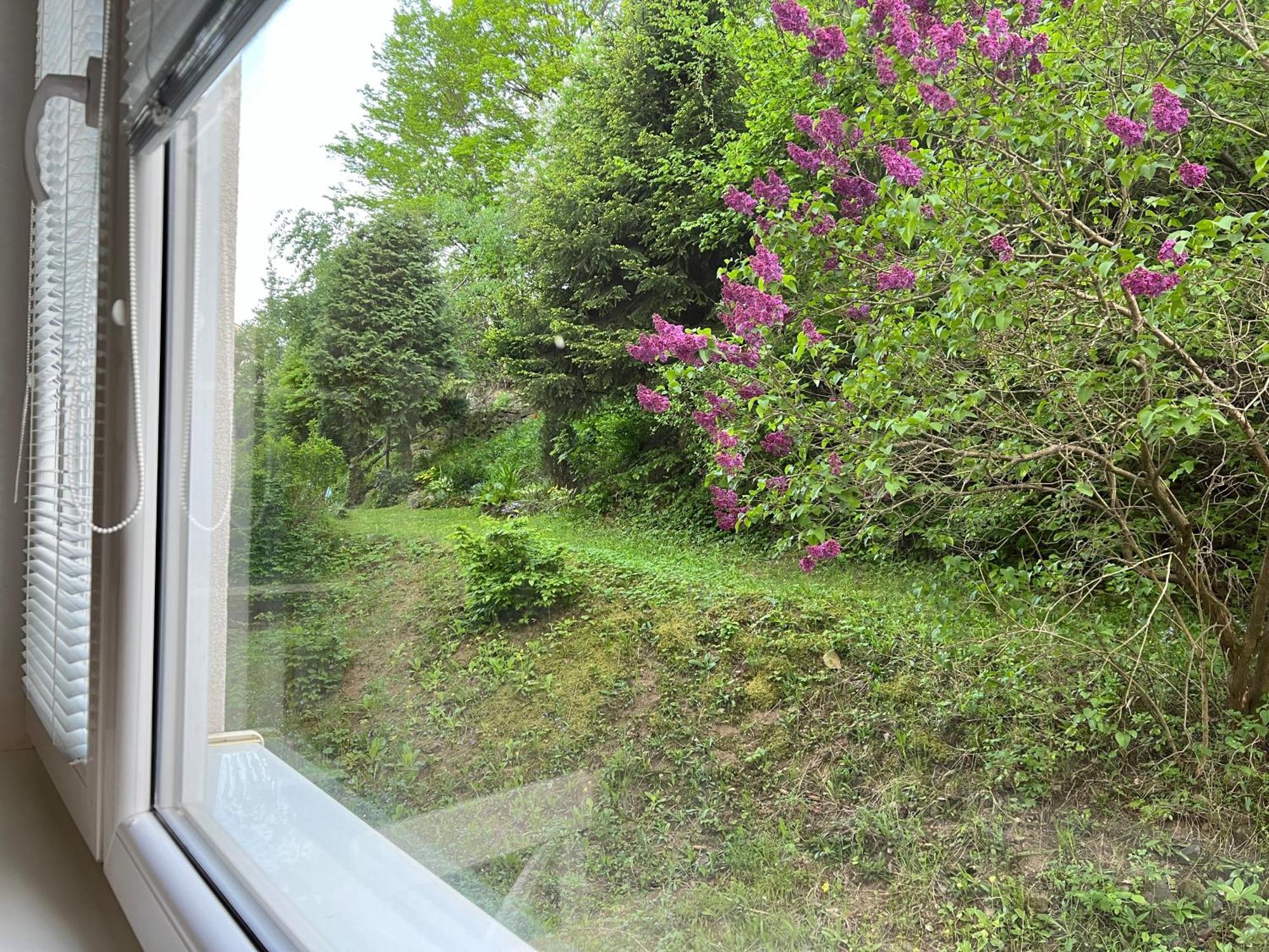 Apartman Rosniarka Banska Stiavnica Luaran gambar
